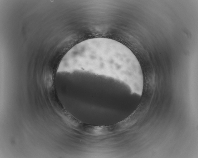 X0000111370130200908071222
