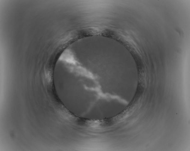 X0000111370131200908071222