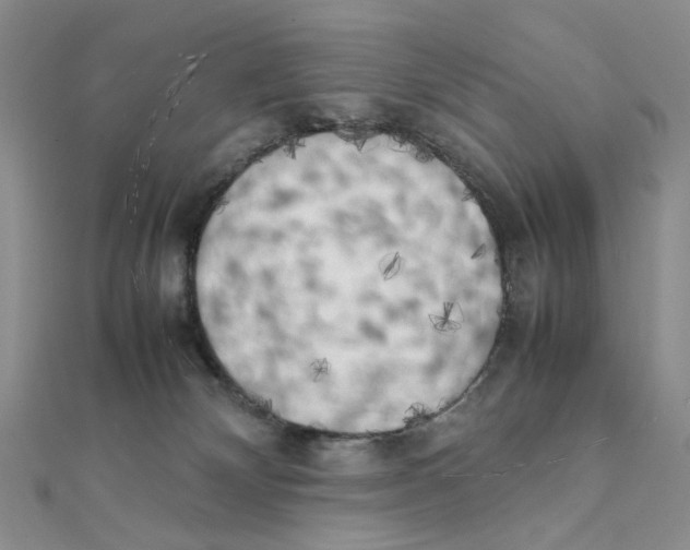 X0000111370132200908071222