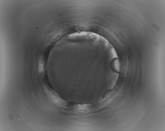 X0000111370134200908071222
