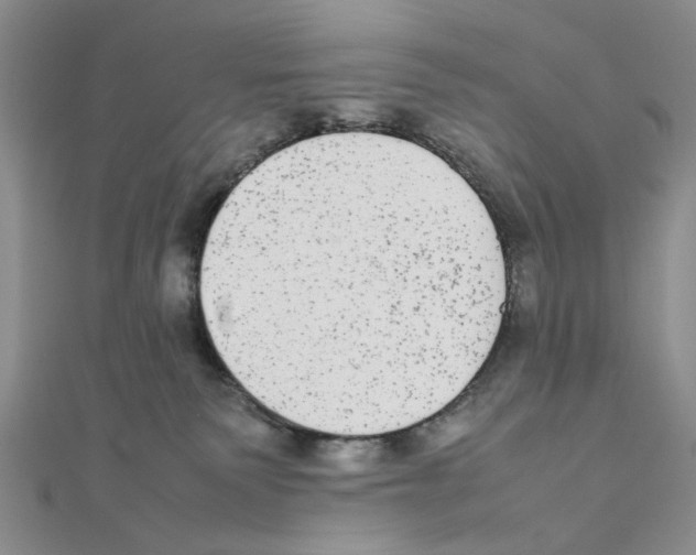 X0000111370135200908071222