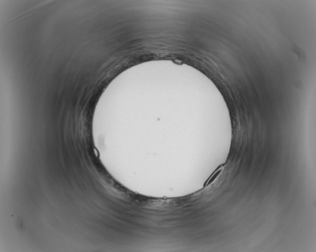 X0000111370136200908071222