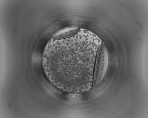 X0000111370137200908071222