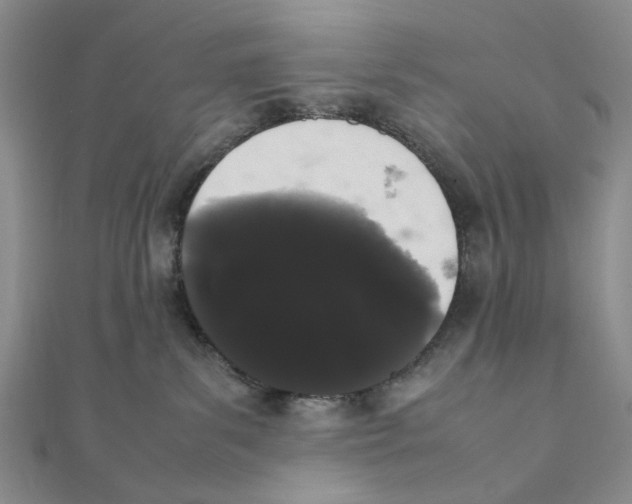 X0000111370139200908071222