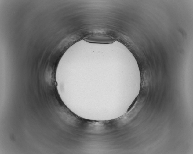 X0000111370140200908071222