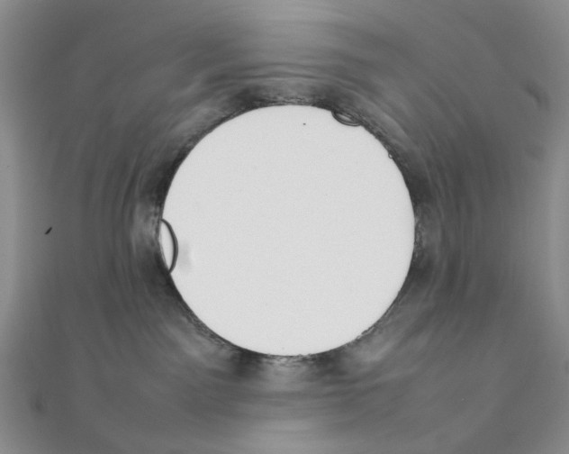 X0000111370141200908071222
