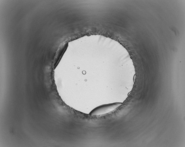 X0000111370144200908071222