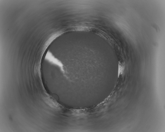 X0000111370147200908071221