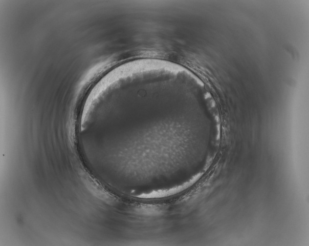 X0000111370149200908071221