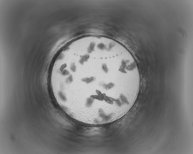 X0000111370151200908071221