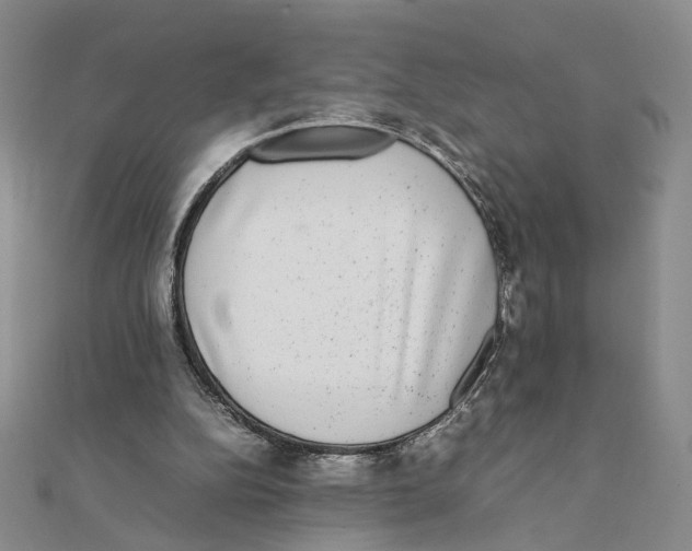 X0000111370152200908071221