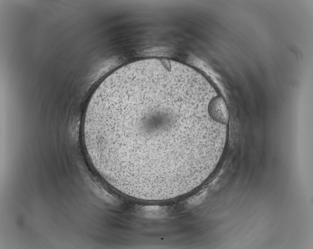 X0000111370153200908071221