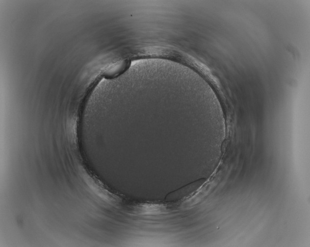 X0000111370154200908071221