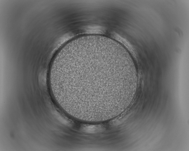 X0000111370155200908071221