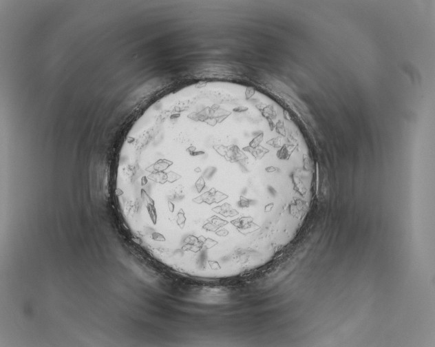 X0000111370157200908071221