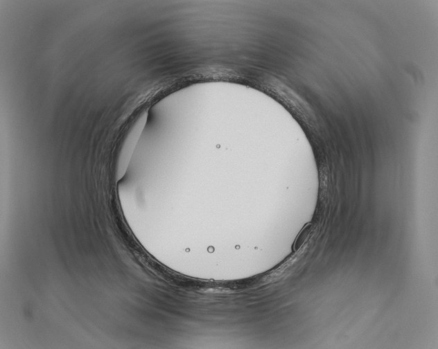 X0000111370158200908071221