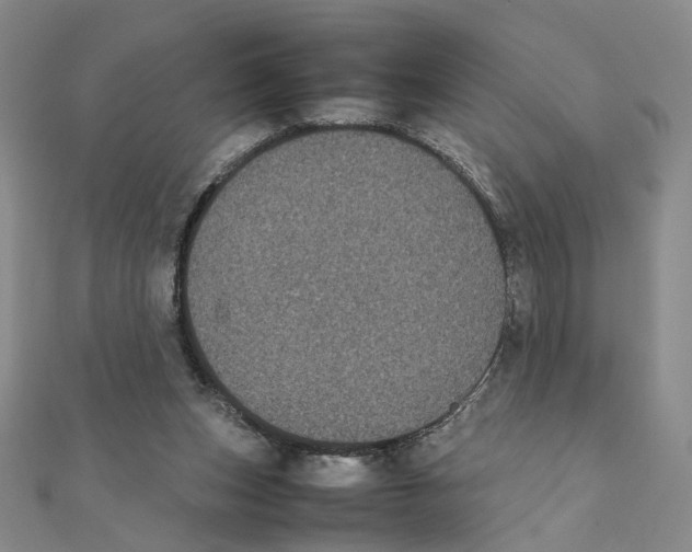 X0000111370159200908071221