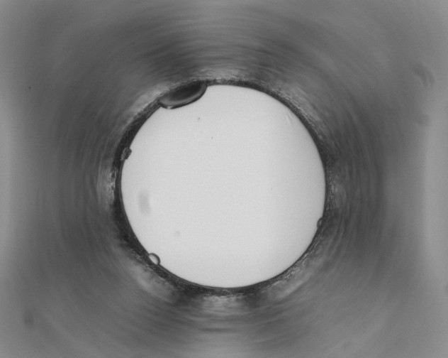 X0000111370160200908071221