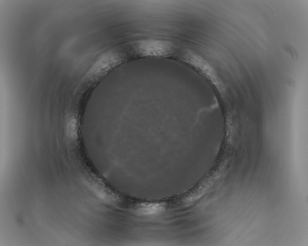 X0000111370161200908071221
