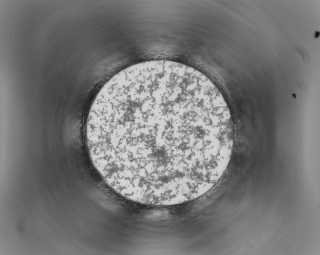 X0000111370162200908071221