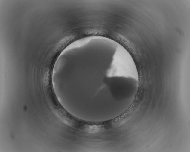 X0000111370163200908071221