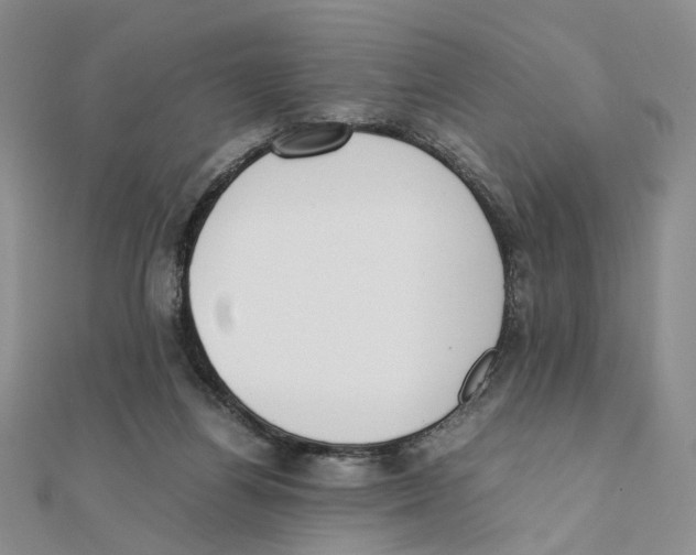 X0000111370164200908071221