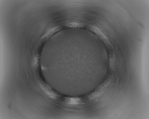 X0000111370165200908071221