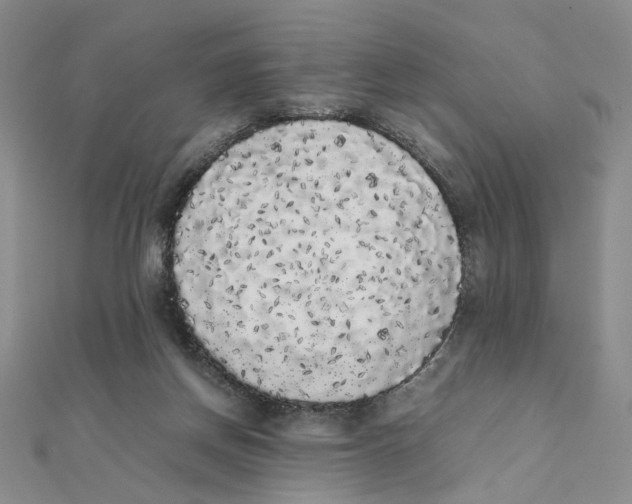 X0000111370166200908071221