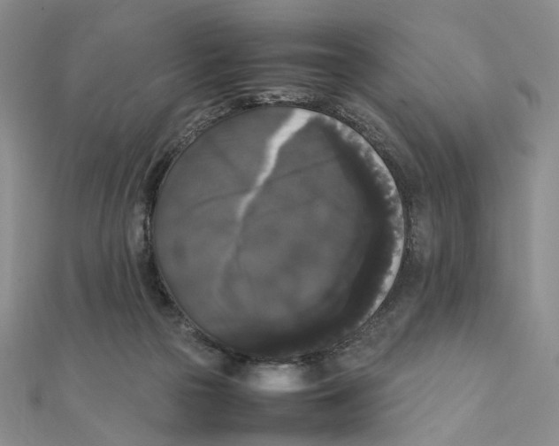 X0000111370169200908071221