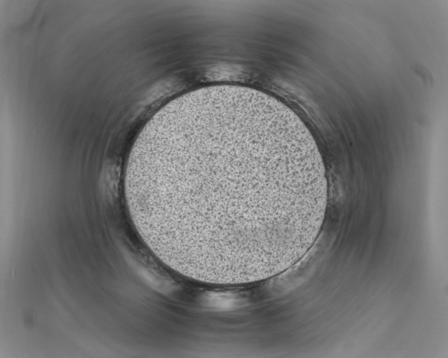 X0000111370171200908071221