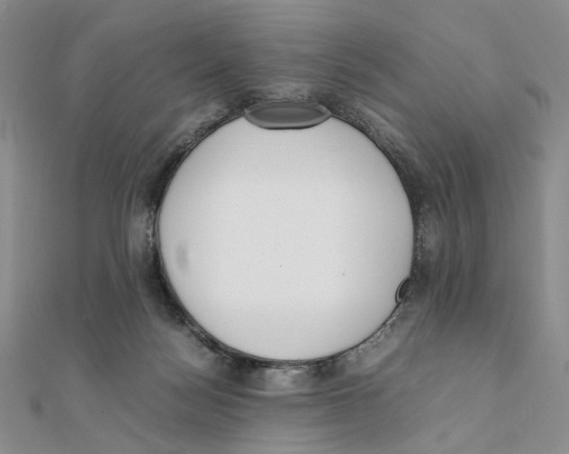 X0000111370172200908071221