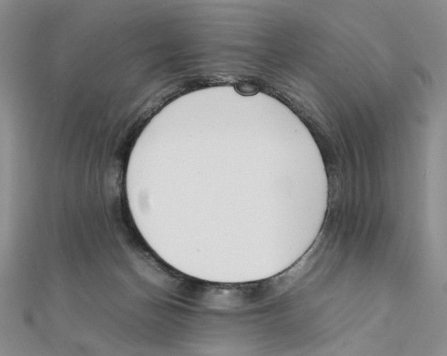 X0000111370174200908071221