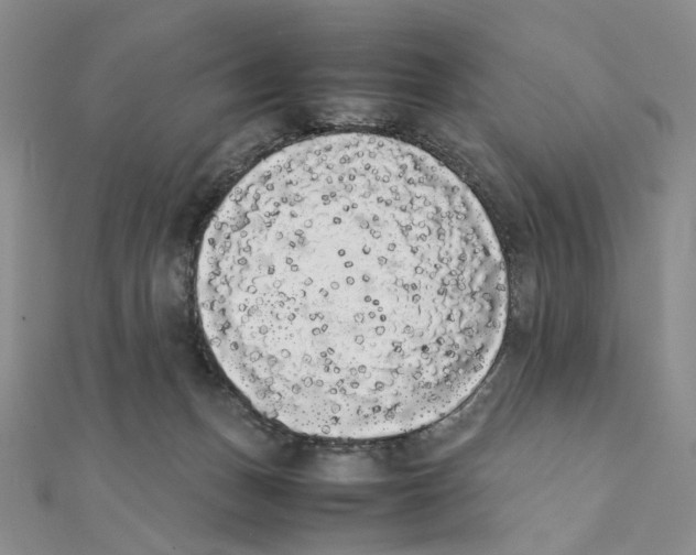 X0000111370175200908071221