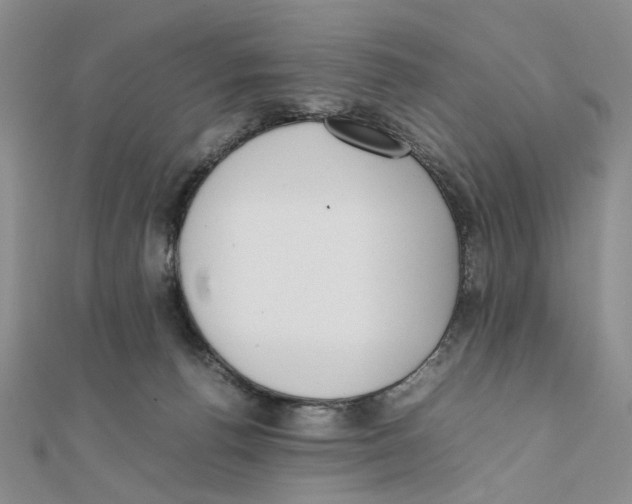 X0000111370176200908071221