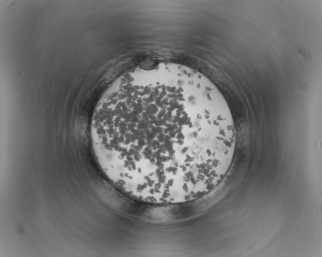 X0000111370178200908071222