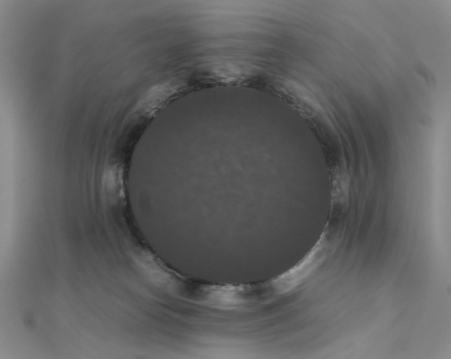 X0000111370182200908071222