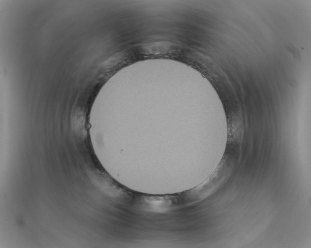 X0000111370187200908071222