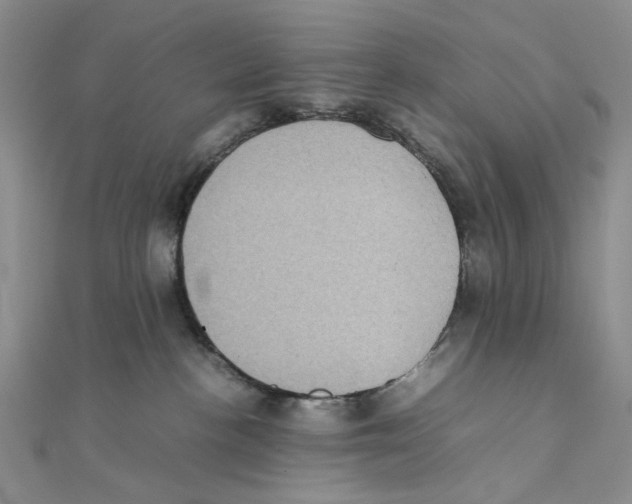 X0000111370188200908071222