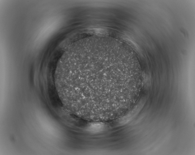 X0000111370189200908071222