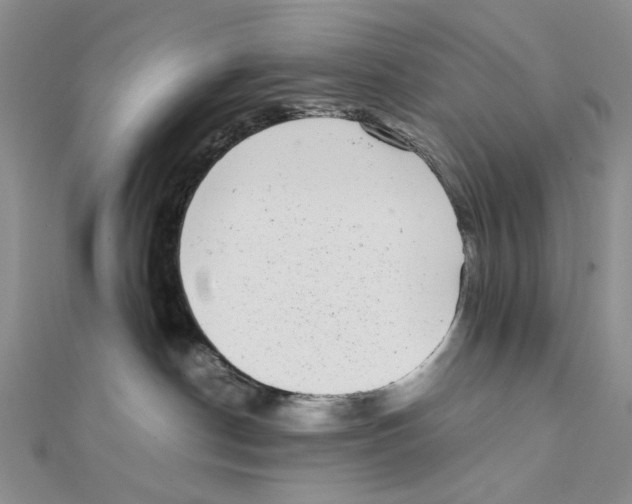 X0000111370190200908071222