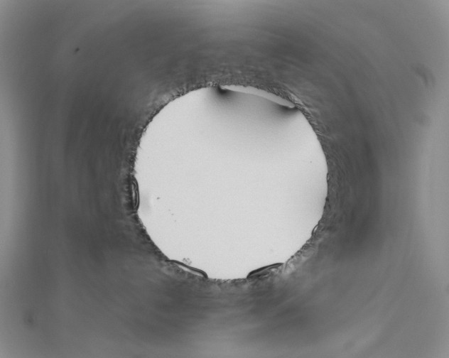 X0000111370192200908071222