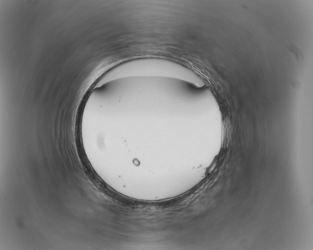 X0000111370195200908071221