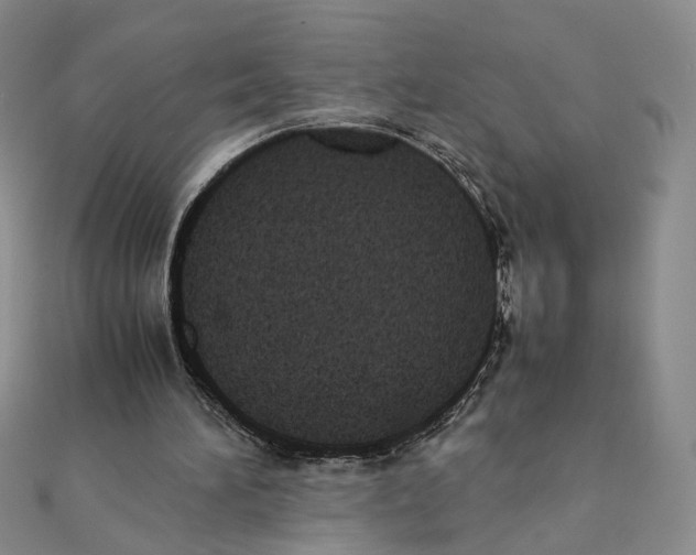 X0000111370196200908071221