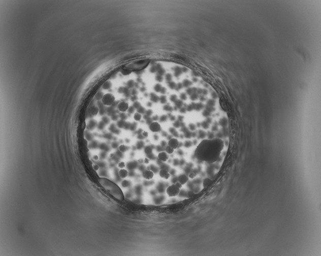 X0000111370197200908071221