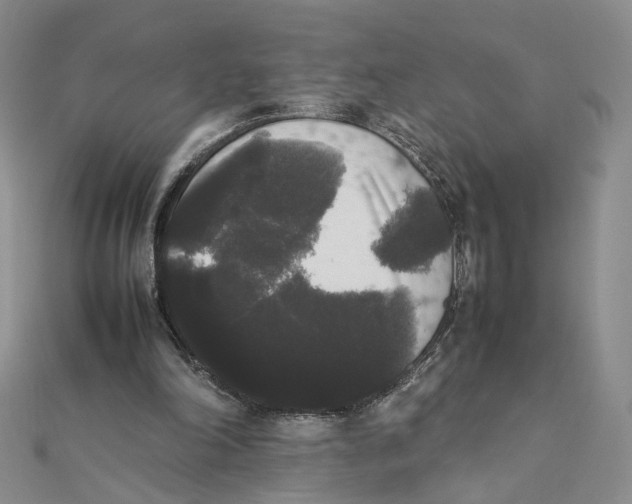 X0000111370198200908071221
