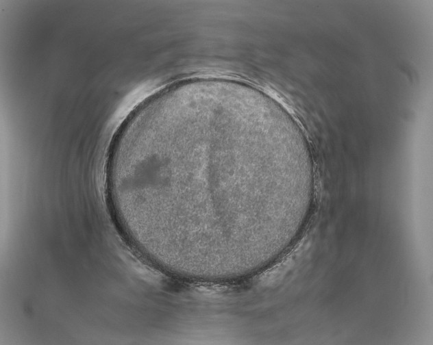 X0000111370199200908071221