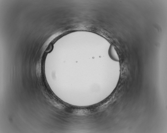 X0000111370200200908071221