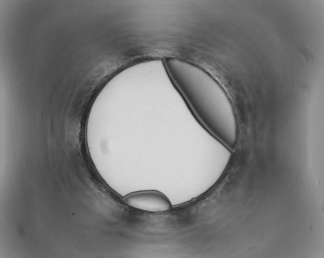 X0000111370201200908071221