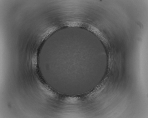 X0000111370202200908071221