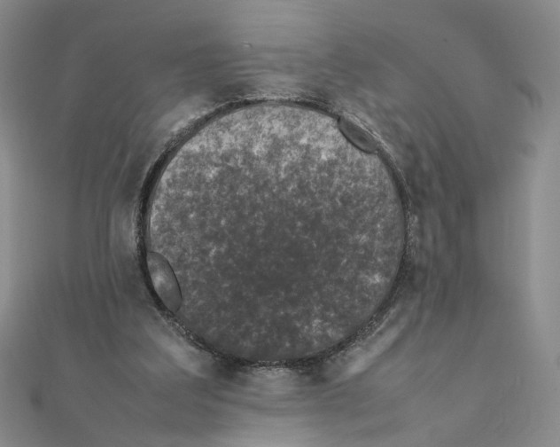 X0000111370203200908071221